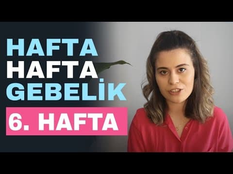 Hafta hafta gebelik - 6 Haftalık Gebelik