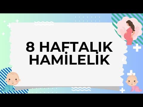 8 Haftalık Hamilelik